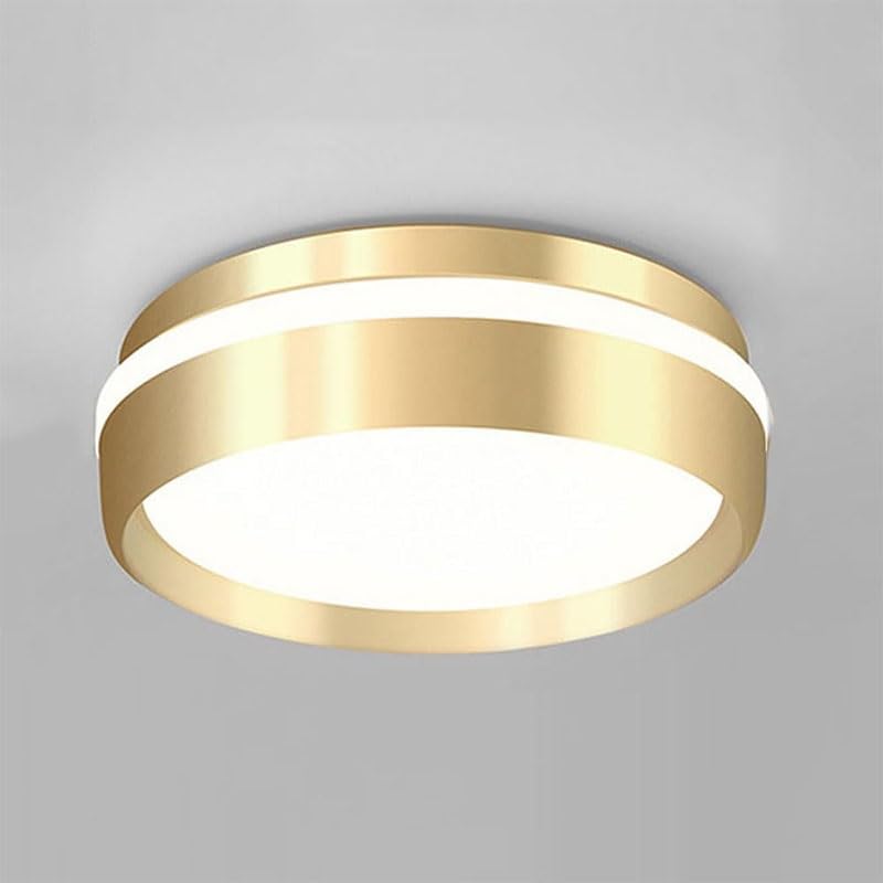 7.8 Acrylic Lampshade Flush Mount Ceiling Lamps Modern Simple Circular LED Creative Round Close to Lights for Kitchen Island Bedroom Living Room Coffee