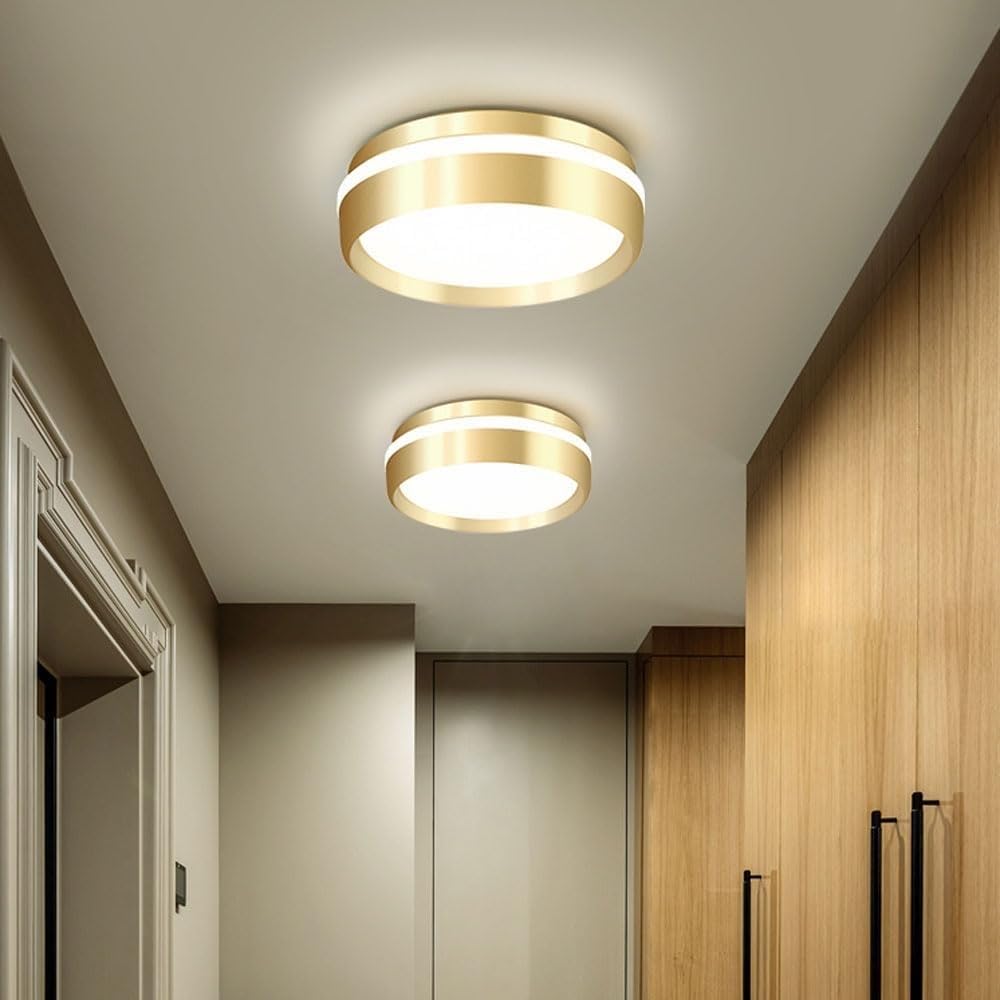 7.8 Acrylic Lampshade Flush Mount Ceiling Lamps Modern Simple Circular LED Creative Round Close to Lights for Kitchen Island Bedroom Living Room Coffee