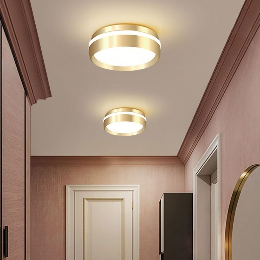 7.8 Acrylic Lampshade Flush Mount Ceiling Lamps Modern Simple Circular LED Creative Round Close to Lights for Kitchen Island Bedroom Living Room Coffee