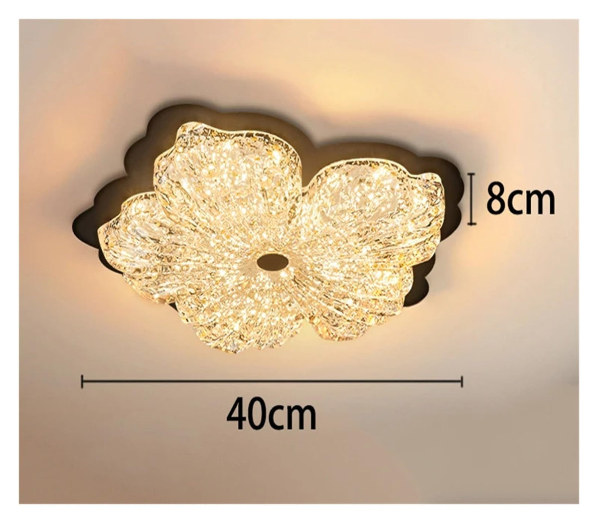 Acrylic Ceiling Light LED Living Room Indoor Lighting Fixture,for Room