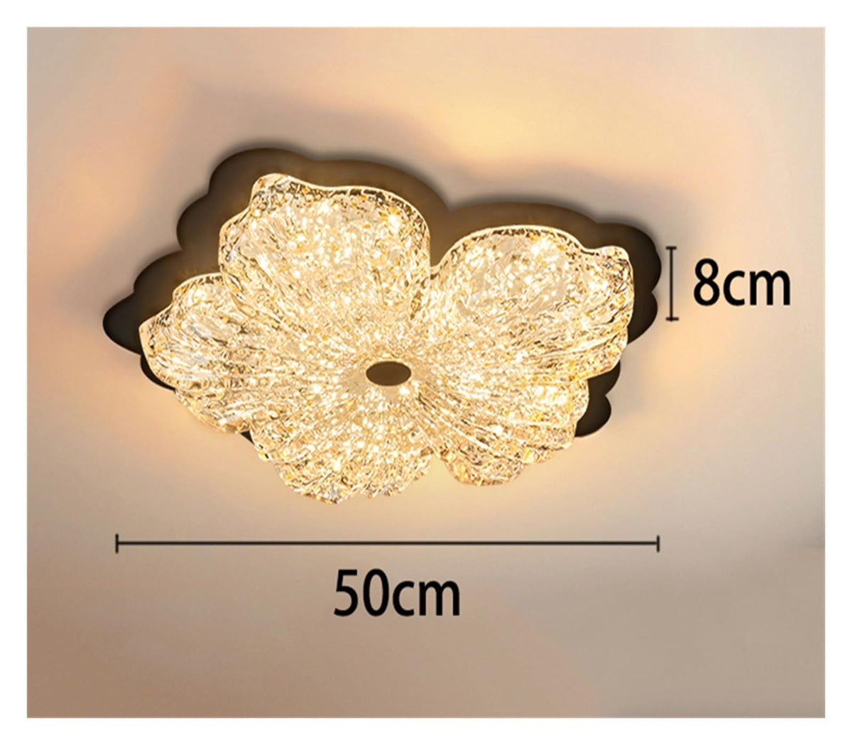 Acrylic Ceiling Light LED Living Room Indoor Lighting Fixture,for Room