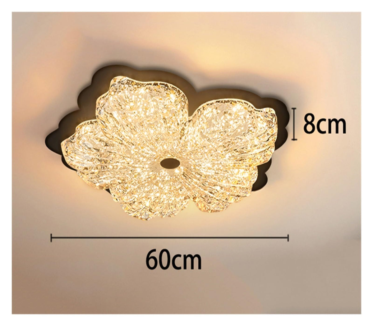 Acrylic Ceiling Light LED Living Room Indoor Lighting Fixture