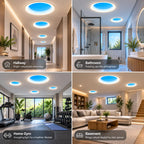 Ultra Thin Skylight Panel Light, Round Dia 21Inch Smart Blue Sky Light