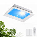 Artificial Skylight Ceiling Light, Dimmable Integrated-60*60