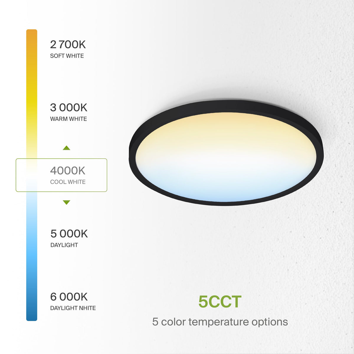 ASD 12" Round LED Flush Mount Ceiling Light 12-Pack | 5CCT | Black