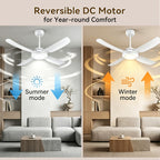 48" Ceiling Fans with Lights,LED Ceiling Fan with Light and Remote Control
