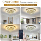 24.5"Crystal Ceiling Light Modern Gold Flush Mount Chandelier Light Fixture